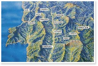 la-rappresentazione-del-territorio